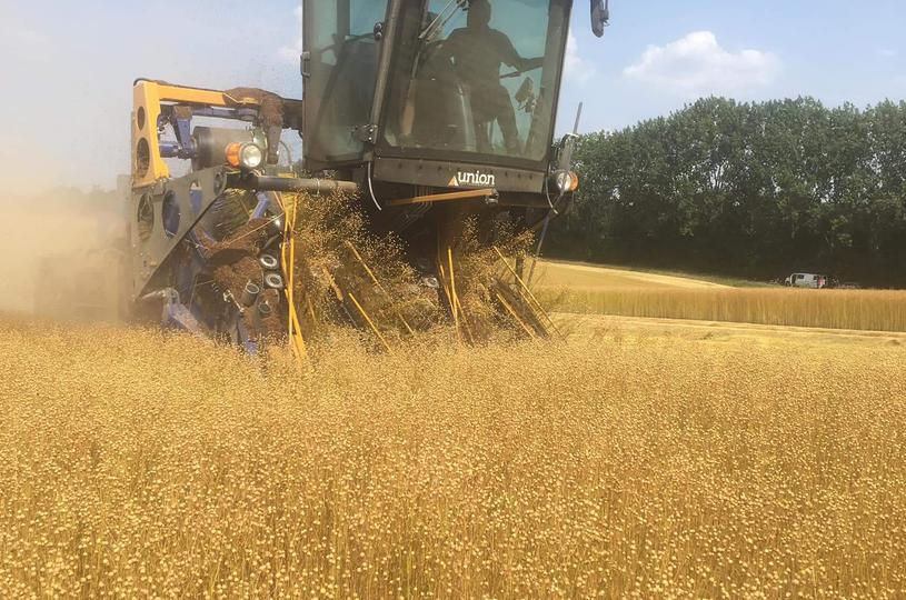 Machinale vlasoogst bij Wavalin