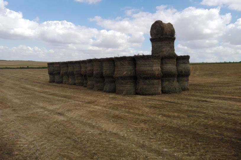 Geroot vlas, klaar voor stockage