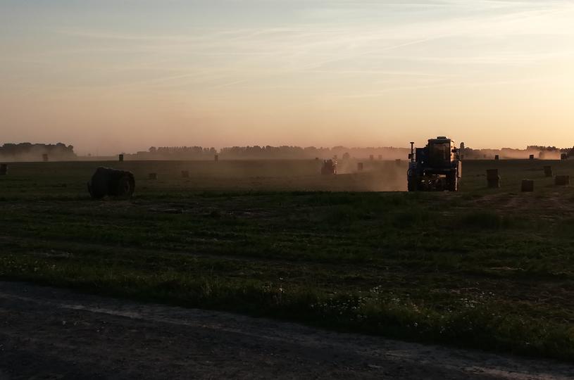 Machinaal oogsten vlas bij valavond Wavalin